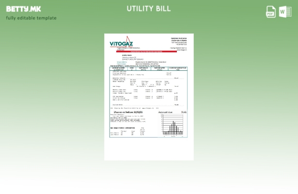 Модерен стил Швајцарија Vitogaz Switzerland AG Шаблон за комунални сметки